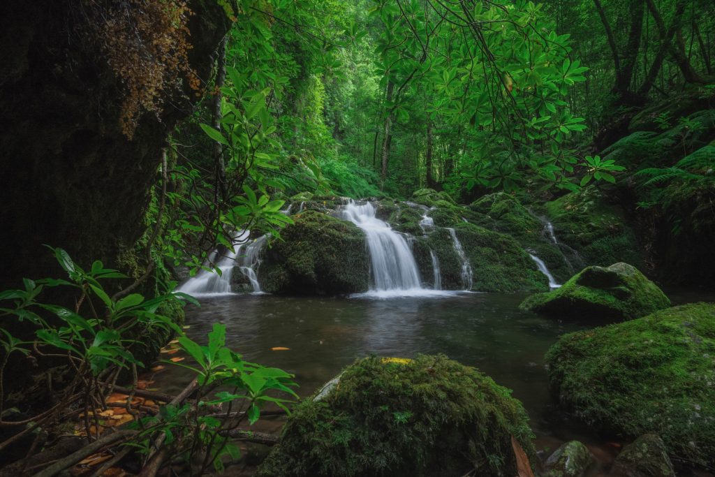 Madeira Bach Wasserfall (3)
