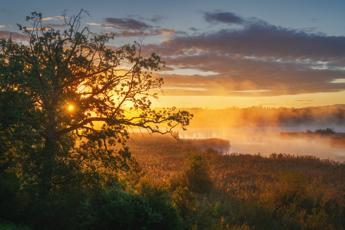 Moor Oberbayern Murnau Benediktbeuern (1) Moor Oberbayern Murnau Benediktbeuern (1)