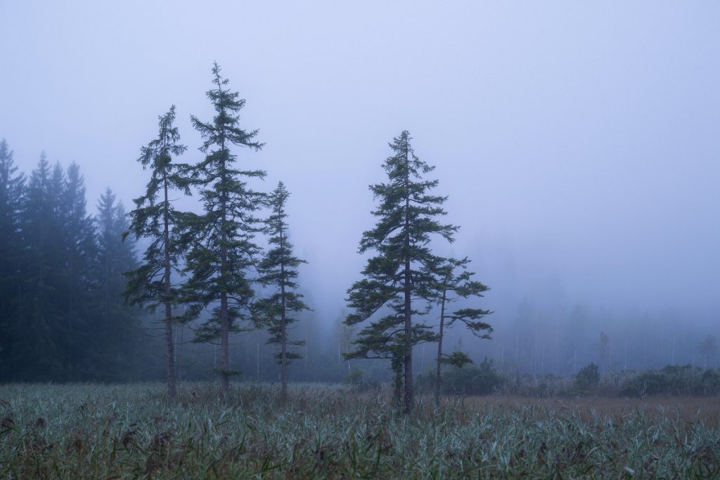 Moor Oberbayern Murnau Benediktbeuern (12)