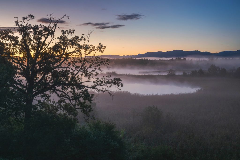 Moor Oberbayern Murnau Benediktbeuern (3)