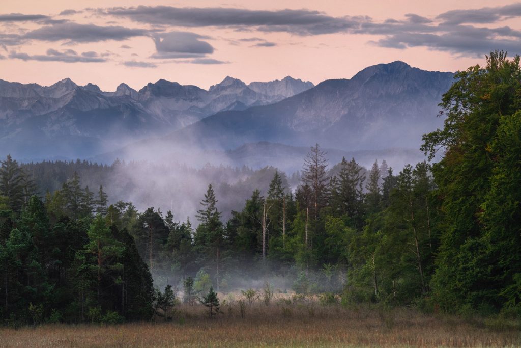 Moor Oberbayern Murnau Benediktbeuern (4)