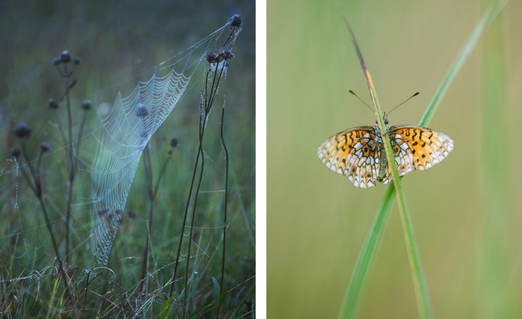 Moor Oberbayern Murnau Benediktbeuern (5)