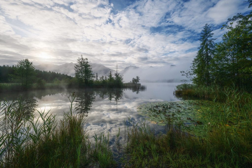 Moor Oberbayern Murnau Benediktbeuern (9)