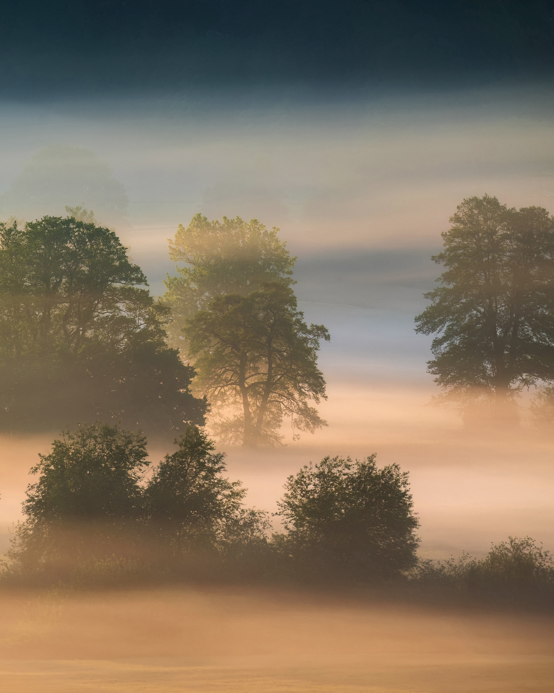 Nebel Landschaftsfotografie Bayern (10)