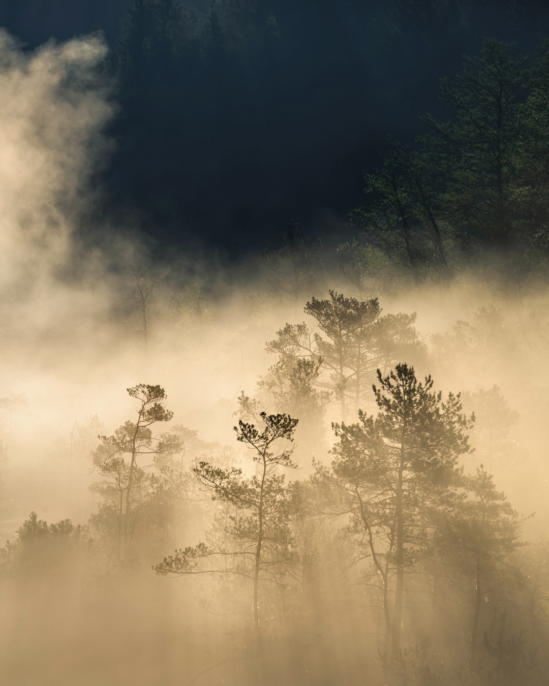Nebel Landschaftsfotografie Bayern (11)