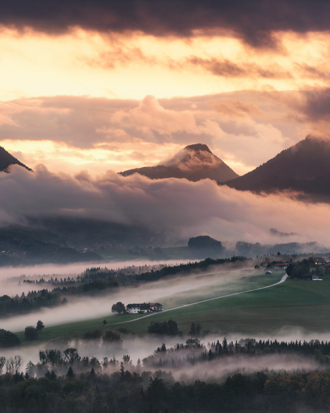 Nebel Landschaftsfotografie Bayern (14)