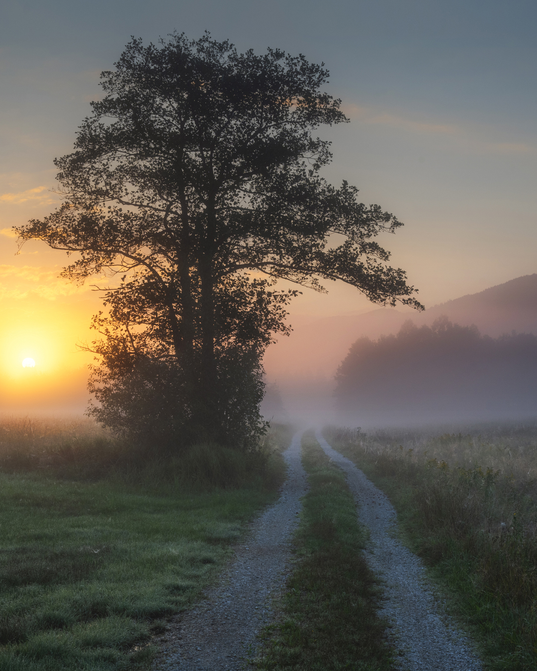 Nebel Landschaftsfotografie Bayern (2)