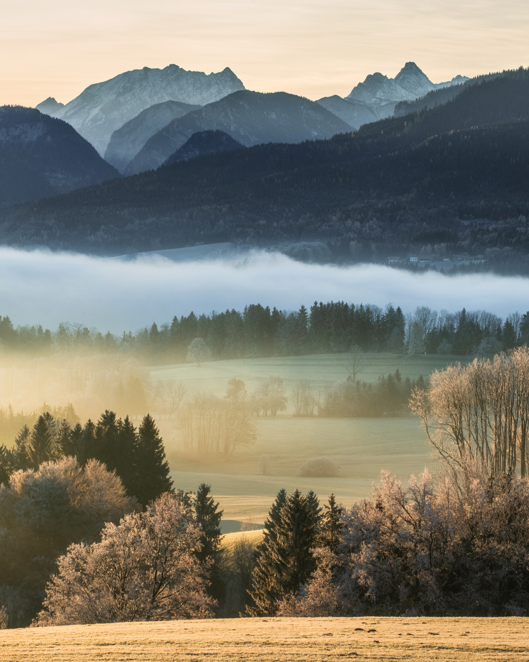 Nebel Landschaftsfotografie Bayern (3)