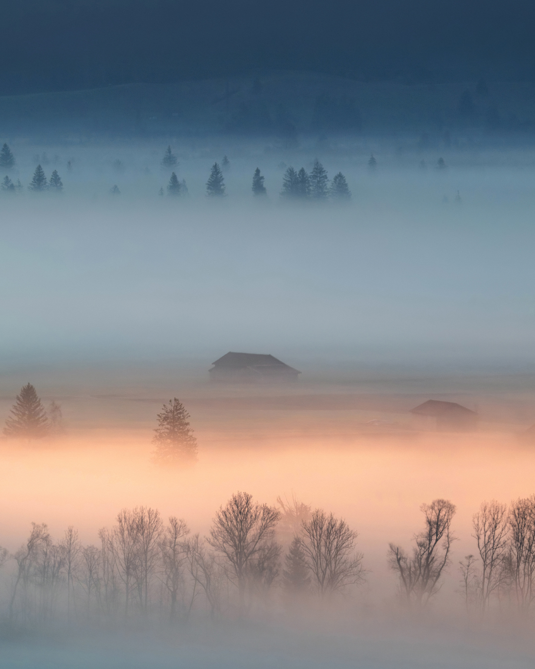 Nebel Landschaftsfotografie Bayern (7)
