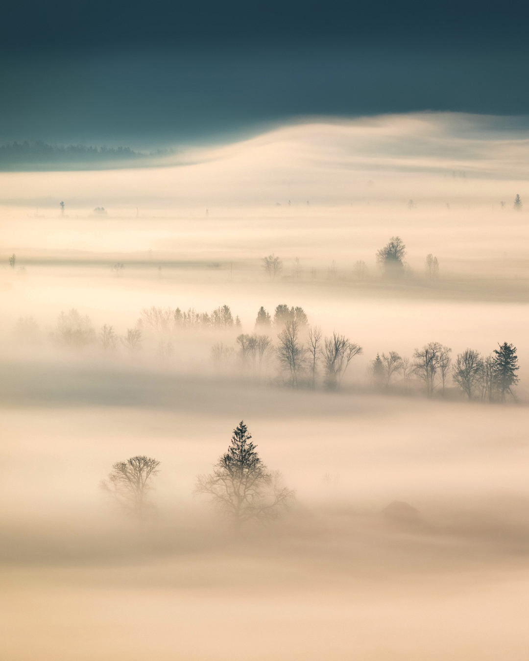 Nebel Landschaftsfotografie Bayern (8)