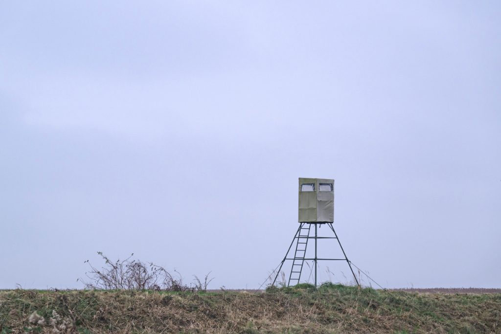 Zingst Fischland Darss Winter (1)