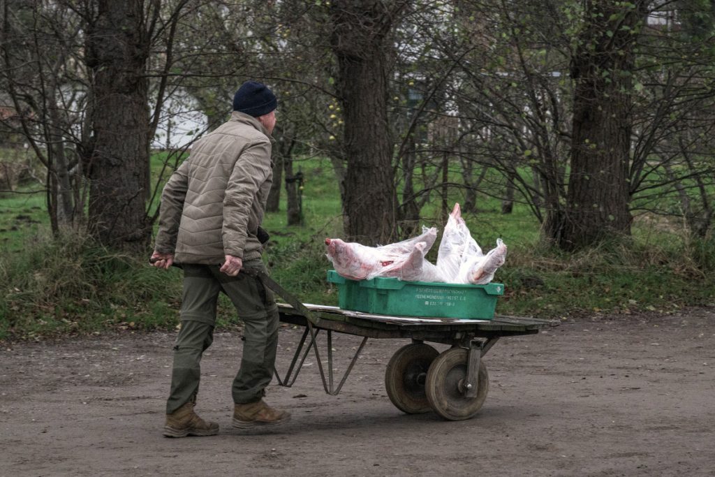 Zingst Fischland Darss Winter (3)