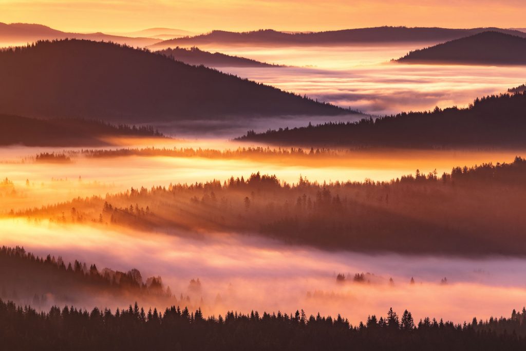bayerischer wald landschaft aussicht 2010250644 bayerischer wald landschaft aussicht 2010250644