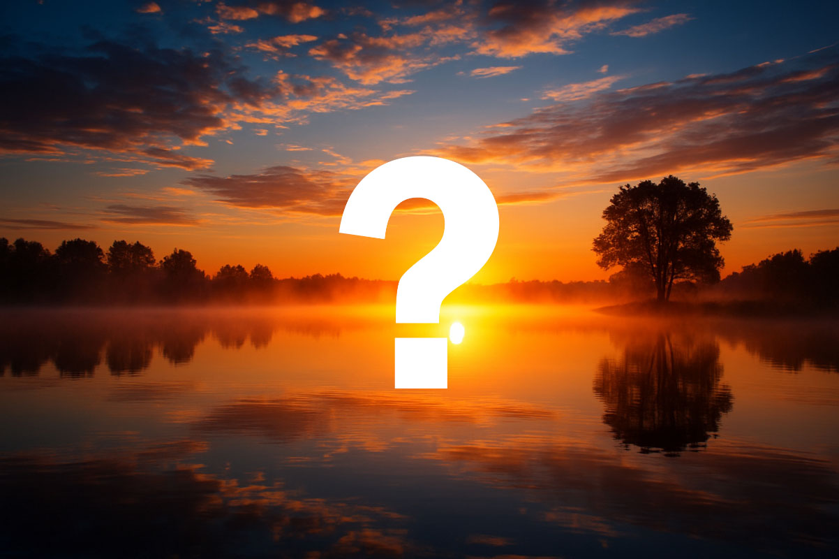 fotowettbewerb gewinnerbild fotowettbewerb gewinnerbild copyss