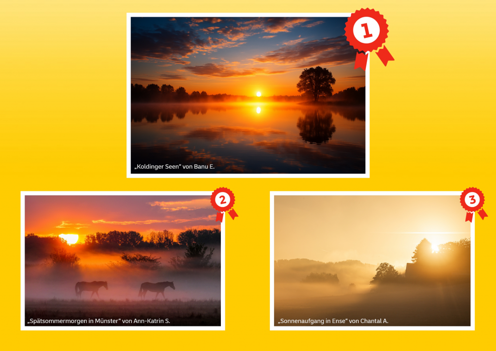 fotowettbewerb gewinnerbilder 1592 fotowettbewerb gewinnerbilder 1592