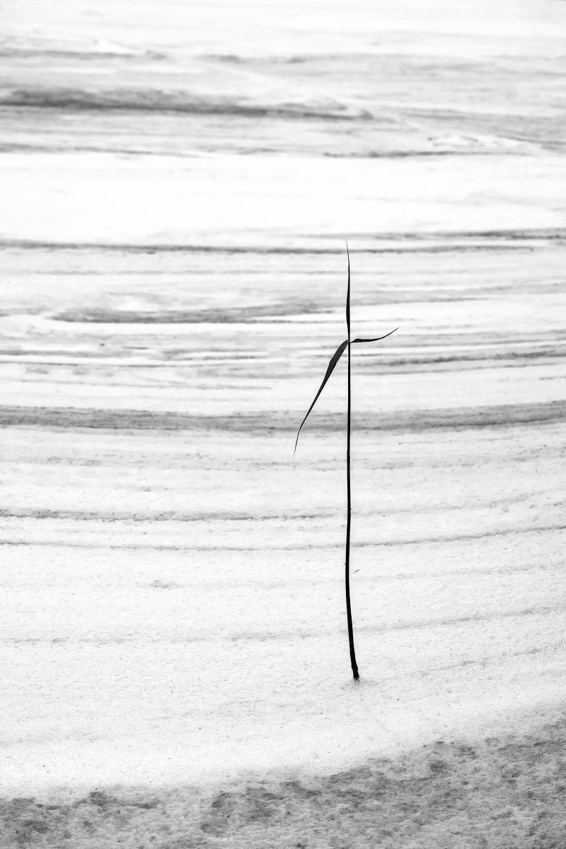 schaum foto (2) copys