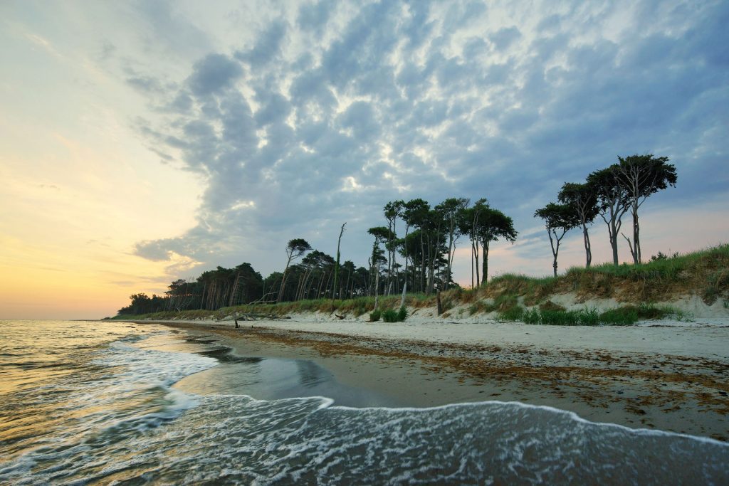 weststrand darss zingst 1507050508 weststrand darss zingst 1507050508